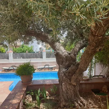 Accommodatie bij particulieren El Olivo Ronda