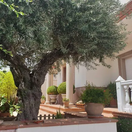 Accommodatie bij particulieren El Olivo *