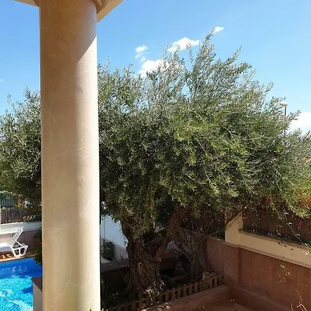 El Olivo Ρόντα