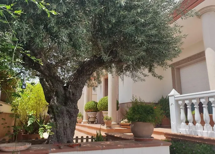 Accommodatie bij particulieren El Olivo *