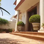 El Olivo *
